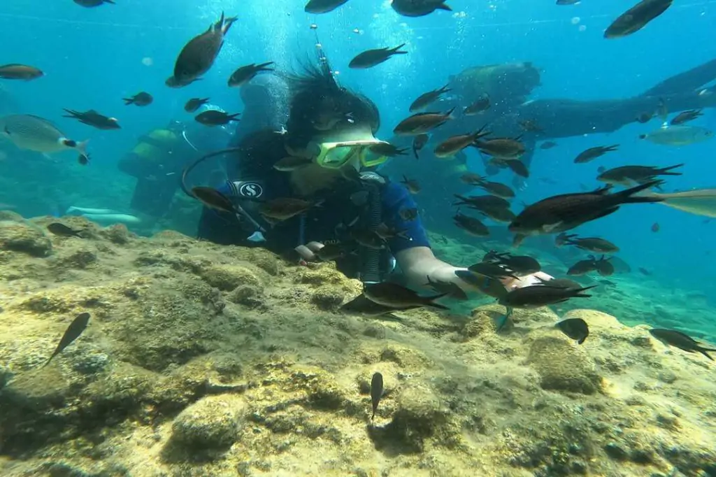 Scuba Diving Tour from Alanya (Alaaddin-1 Boat)