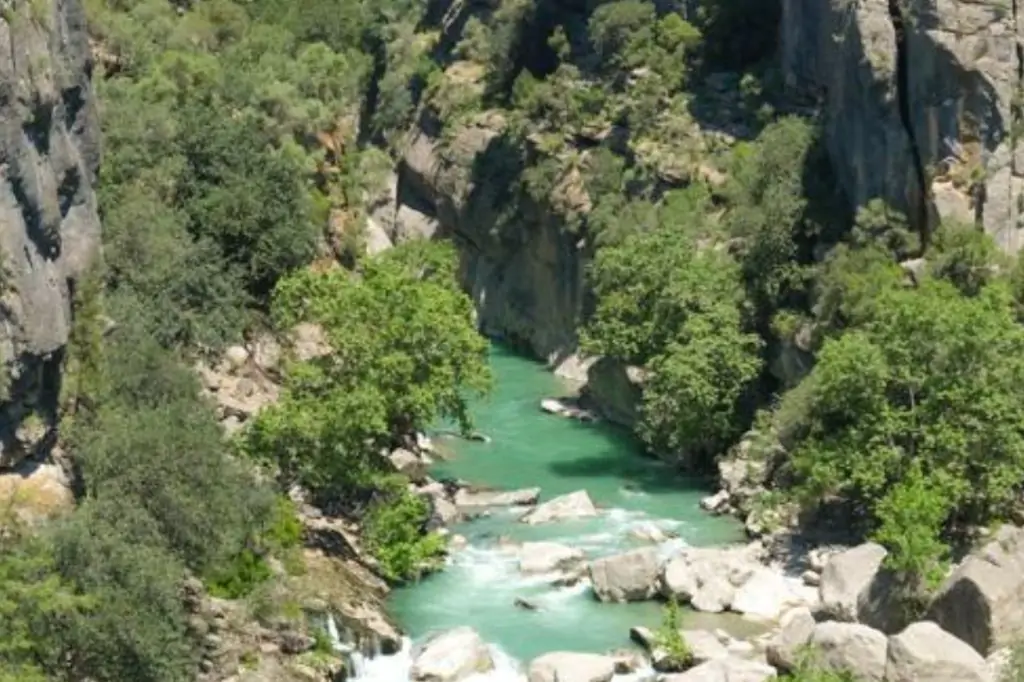 Cabrio Safari + Rafting + Adler Canyon (3w1) Tour: Dzień pełen przygód!