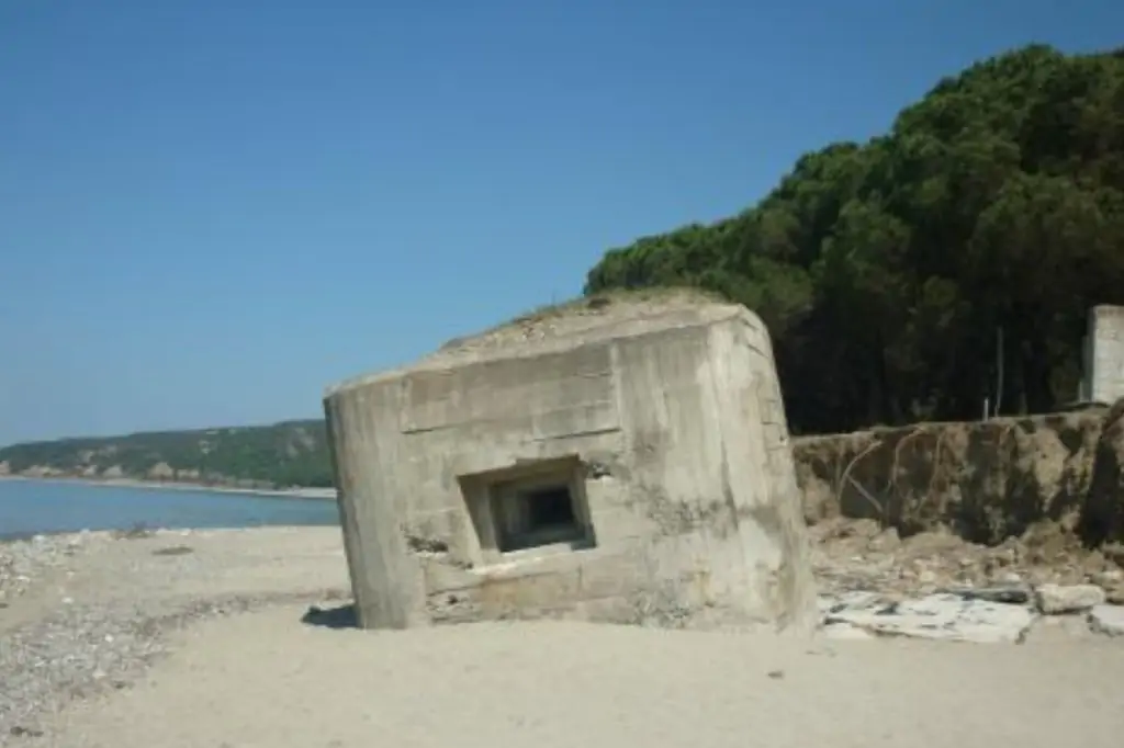Von Angesicht zu Angesicht mit der Geschichte: Eine eintägige Gallipoli-Tour von Istanbul aus