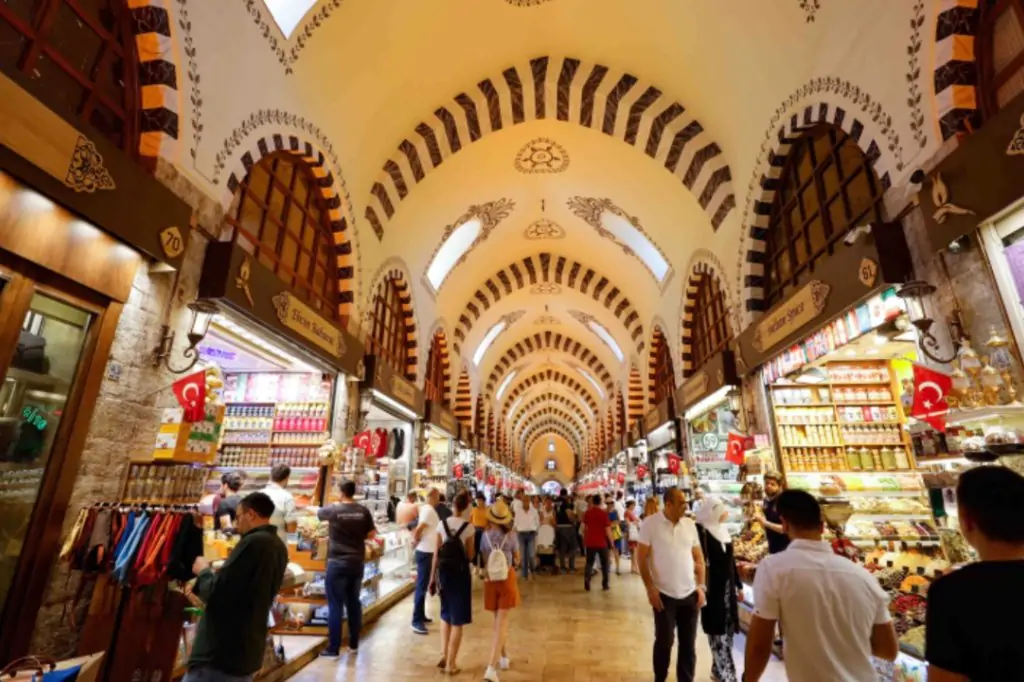 Eine Reise ins Herz von Istanbul: Eine ganztägige Dolmabahçe-Palast- und Bosporus-Tour