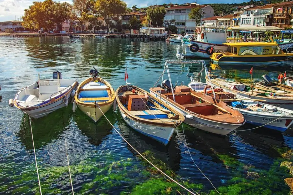 A Day in the Heart of the Marmara: The Peaceful Embrace of the Princes’ Islands