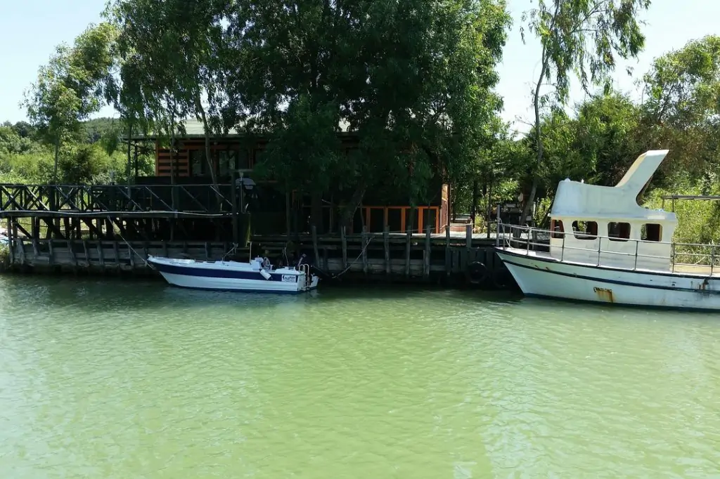 O călătorie în farmecul natural din Șile și Ağva: O excursie de neuitat de o zi din Istanbul