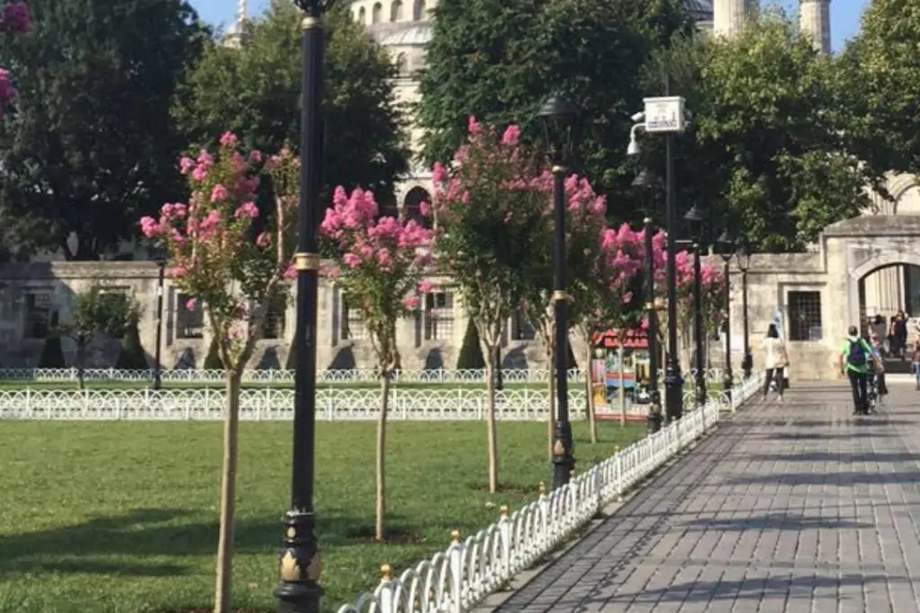 Ein eintägiges Märchen in Istanbul: Tour mit Flug ab Antalya