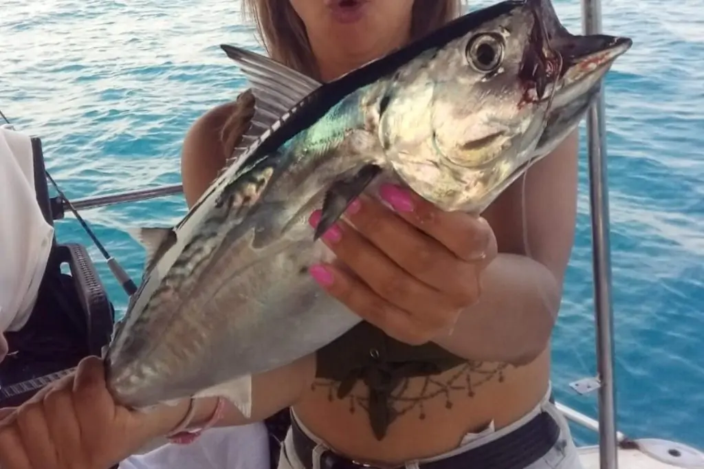 A Fishing Adventure with HELGA – Your Private Sea Escape